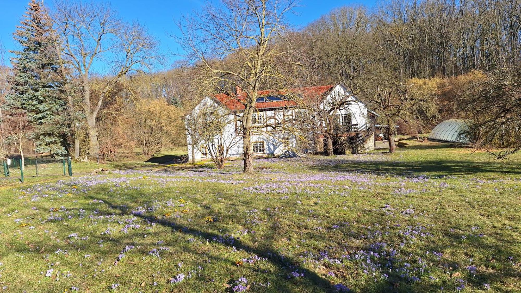 Ferienwohnung Obermuehle Ballstädt 客房 照片