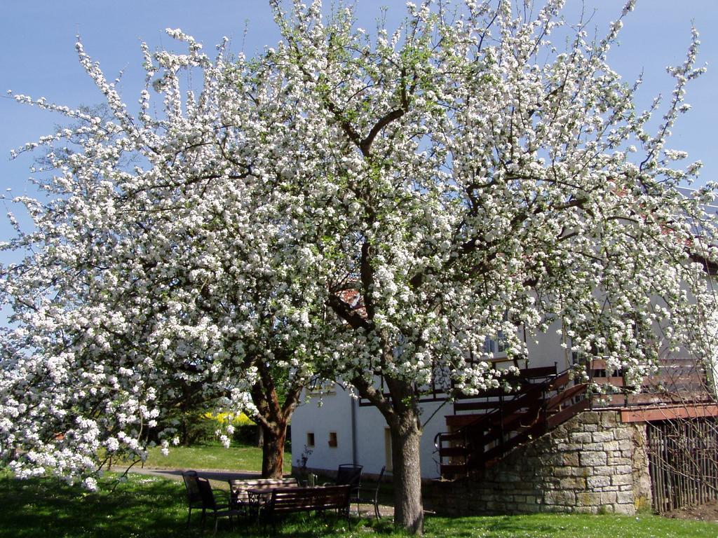 Ferienwohnung Obermuehle Ballstädt 客房 照片